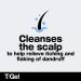 Neutrogena T/Gel 2-in-1 Anti Dandruff Shampoo and Conditioner 250ml - Fights Dandruff from First Use - Buy Online on GoSupps.com