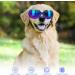 Svitzoot Dog Glasses - UV Protection Sunglasses for Small Dogs | Adjustable Windproof Stylish Black Dog Eyewear - Buy Online on GoSupps.com
