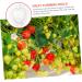 VANZACK 15 Pcs Fruit Shaping Mold White Watermelon Strawberry 4.5x4cmx3pcs Whitex3pcs - Buy Online on GoSupps.com