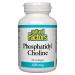 Natural Factors Phosphatidyl Choline (PC) 420 mg 90 Softgels