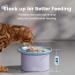 Pawaii Ceramic Elevated Cat Bowl Set - Whisker Friendly, Dishwasher Safe - Purple and Blue - Buy Online on GoSupps.com