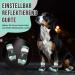 Eyein Dog Shoes - Breathable Paw Protection with Non-Slip Sole & Reflective Velcro Fastener for All Dog Sizes - Green 4 Pieces - Buy Online on GoSupps.com