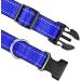 Joytale Reflective Dog Collar for Large Dogs - Royal Blue (Pack of 1) | Durable & Comfortable | International Shipping Available - Buy Online on GoSupps.com