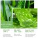 Organic Aloe Vera Gel for Face - Hydrating Cooling & Soothing After Sun Care | 10.58 fl. oz | Natural Skin Care Beauty Products International Shipping - Buy Online on GoSupps.com