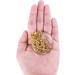 Gold Chain Necklace with 1-3/4 Inch Optical Magnifier Lens - Ideal for Reading Fine Print and Increasing Vision - Library Reading Jewelry - Buy Online on GoSupps.com