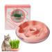 KASESSS Cat Grass Planter Soil Free Hydroponic Cat Grass Tray Round Catnip Cat Grass Box Indoor Cat Plant Planting Box Plastic Cat Grass Sprouting Trays for Cats Dogs and Other Pets (Pink)