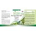 Fairvital Bacopa Monnieri Extract 500mg Brahmi Capsules - Vegan Formula Without Magnesium Stearate | 90 Capsules - Buy Online on GoSupps.com
