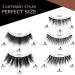 Lamora Reusable Magnetic Lashes | Waterproof Eyeliner & Applicator Kit | No Glue False Eyelashes | International Shipping - Buy Online on GoSupps.com