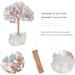 Kyeygwo Rose Quartz & Aquamarine Healing Crystal Money Tree - Feng Shui Gemstone Tree Ornament for Home Decor | Natural Mountain Druse Base - Buy Online on GoSupps.com