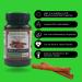 Ceylon Cinnamon Capsules 500mg x 90 - Vegan and Made in the UK - Buy Online on GoSupps.com