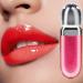 Lip Gloss | Long-Lasting Lip Gloss Long-Lasting Beauty Product for Women and Girls Ideal for Travel and Birthdays Plumping Effect - Buy Online on GoSupps.com