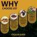 Earth BOTANIC Organic Pygeum Bark Extract 500mg Capsules - Prostate Health & Men's Wellness Supplement - 4 Month Supply - Buy Online on GoSupps.com