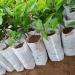 Honrane Gardening Bag Easy To Use High Performance Mini Environment-friendly Growing Bag for Flowers 10cm x 12cm - Buy Online on GoSupps.com