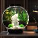 Aquarium Heaters for Small Tanks | 10W Aquarium Heater | Submersible Aquarium Heater for 1 Gallon Built-in - Buy Online on GoSupps.com