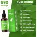 Iodine Drops - Vegan Liquid Supplement for Thyroid Health & Hormone Balance - 1-2 Year Supply - Tasteless Formula with Higher Absorption - 590 Servings - Buy Online on GoSupps.com