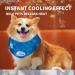 ALL FOR PAWS Chill Out Dog Ice Bandana | Instant Cooling Pet Scarf for Summer | Breathable Ice Collar for Cats & Small Dogs - Buy Online on GoSupps.com