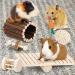Small Animal Chew Toys Set for Teeth Care - Wooden Accessories for Hamsters, Guinea Pigs, Chinchillas - Rodent Toy Swing, Seesaw, Bridge - Buy Online on GoSupps.com