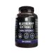 PURE ORIGINAL INGREDIENTS Blueberry Extract (365 Capsule) No Magnesium Or Rice Fillers Always Pure Lab Verified 365 Count (Pack of 1)