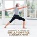 Garden of Life FYI Ultra Ultimate Joint & Cartilage Formula 120 UltraZorbe Vegetarian Capsules - Buy Online on GoSupps.com