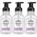 J.R. Watkins Foaming Hand Soap with Pump Dispenser Moisturizing Foam Hand Wash All Natural Alcohol-Free Cruelty-Free USA Made Lavender 9 fl oz 3 Pack Lavender 9 Fl Oz (Pack of 3)