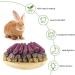 Natural Flowers Flavored Timothy Hay Sticks | Handmade Chew Toys for Small Animals | 5.29oz Pack - Buy Online on GoSupps.com