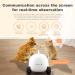obexx Smart Pet Camera  Smart Companion Robot for Pets  Dog Treat Dispenser  Movable 1080P Full HD WiFi pet Camera Night Vision  2way Video via Smart Phone App (2.4G WiFi ONLY) White - Buy Online on GoSupps.com