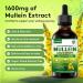 5 in 1 Mullein Drops for Lungs - 1600mg Organic Mullein Leaf Extract Supplement 2 oz Mullein Tincture with Elderberry Marshmallow Orange Peel & Ginger Root Liquid Extract - 60ml - Buy Online on GoSupps.com