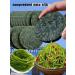 Dried silk kombu compressed round cakes of thick kombu soft dried kombu products (400g) - Buy Online on GoSupps.com