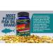 Biotest Flameout Inflammation Scavenger - 5500mg Omega-3 Fish Oil Supplement - Pharmaceutical Grade DHA & EPA - Promotes Brain & Heart Health - 90 Softgels - Buy Online on GoSupps.com