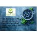 Wild Blueberry Powder 100g | 100% Natural & Unsweetened | Pure Wild Blueberry Fruit Powder - Buy Online on GoSupps.com