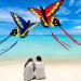 HENGDA Butterfly Kite for Kids and Adults - Colorful Outdoor Single Line Kite with Flying Tools - Red & Blue - Buy Online on GoSupps.com
