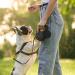 Heyu-Lotus 3 Pcs Small Dog Treat Bag Pet Treat Bag Puppy Dog Training Pouch Portable Pet Training Treats Pouch with Carabiner Dog Walking Bags for Pet Puppy Travel Outdoor Use - Buy Online on GoSupps.com