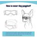 PETLESO Dog Goggles - Anti-UV Safety Sunglasses for Small/Medium Dogs | Eye Protection in Black - Buy Online on GoSupps.com