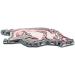 FanMats NCAA Illinois Illini 3D Color Metal Team Logo Auto Emblem - Buy Online on GoSupps.com