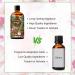 PHATOIL Coffee Fragrance Oil for Aromatherapy & DIY Scented Products - 100ml (Pack of 1) - Buy Online on GoSupps.com