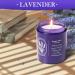 Buy WarmEmbrace Lavender Candles | 7.6 oz Purple Jar | Long-Lasting Soy Candles for Home & Gifts | 80 Hour Burn | 2 Pack - Buy Online on GoSupps.com