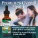 Nature's Answer Suma Root Extract - Brazilian Ginseng | Gluten-Free, Alcohol-Free, Kosher | 1oz for Overall Health & Well-Being - Buy Online on GoSupps.com