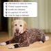 Axcimond Dog Recovery Suit - Long-Sleeved Post-Op Body for Dogs | Wound Protection & Alternative to Neck Collars | 5XL Leopard Print - Buy Online on GoSupps.com