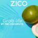 Zico 100% Coconut Water Drink - 12 Pack, 500ml - Natural Flavored, No Sugar Added, Gluten-Free - Supports Hydration with Electrolytes - Buy Online on GoSupps.com