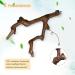 Natural Bird Accessories Set - 2 pcs Grape Wood Climbing Rods for Budgies Canaries & Nymphs - Ideal for Bird Cages - Buy Online on GoSupps.com