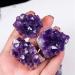1/5/10PC 1PC/30-40g Raw Purple Natural Brazilian Amethyst Crystal Cluster Quartz Druzy Geode Rock Stones Specimen Ornament Home Decor ZJGIDTEM (Color : 10pcs) - Buy Online on GoSupps.com