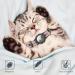 Jiarui Reflective AirTag Cat Neck Band - Adjustable GPS Collar for Cats & Puppies XS 7-9 inch - Pink - Buy Online on GoSupps.com