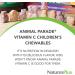 NaturesPlus Animal Parade Vitamin C Chewable Tablets for Kids - Vegan Gluten-Free - Natural Orange Flavor - 90 Animal-Shaped Tablets (Pack of 2) - Boost Immunity - Buy Online on GoSupps.com