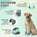 Slowton Dog Shoes for Paw Protection - Breathable Non-Slip Boots for Small Medium & Large Dogs | Adjustable Reflective Velcro Fastener | Size 6 (6.5 cm Width) - 4 Pieces - Buy Online on GoSupps.com