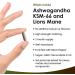 Ashwagandha KSM-66 and Lions Mane Capsules - High Strength 2000mg KSM-66 Ashwaghandha Root Extract and Lions Mane Mushroom Extract - 120 Vegan Capsules with Black Pepper - UK Made by New Leaf Ashwagandha KSM & Lions Mane - Buy Online on GoSupps.com