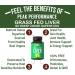 Grass Fed Desiccated Beef Liver Supplement - 180 Capsules Superfood Pills for Adrenal & Immune Support - Buy Online on GoSupps.com