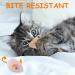 18-Piece Cat Toy Set | Plush Mouse Cat Mint Interactive Toys for Kittens & Cats - Buy Online on GoSupps.com