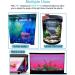 MingDak LED Aquarium Light - Wireless Remote - RGB Color Changing - Underwater Submersible - 7.5'' (9 LEDs) - Buy Online on GoSupps.com