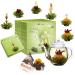 Creano tea blum gift set - blossoming with 500 ml of glass jugs & 6x green tea + 1x tealini black tea bonus ball - 8 partly green tea + bonus ball