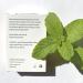 Terra & Co. Brilliant Black Dental Floss - 32 Yards | Eco-Friendly & Effective - Buy Online on GoSupps.com